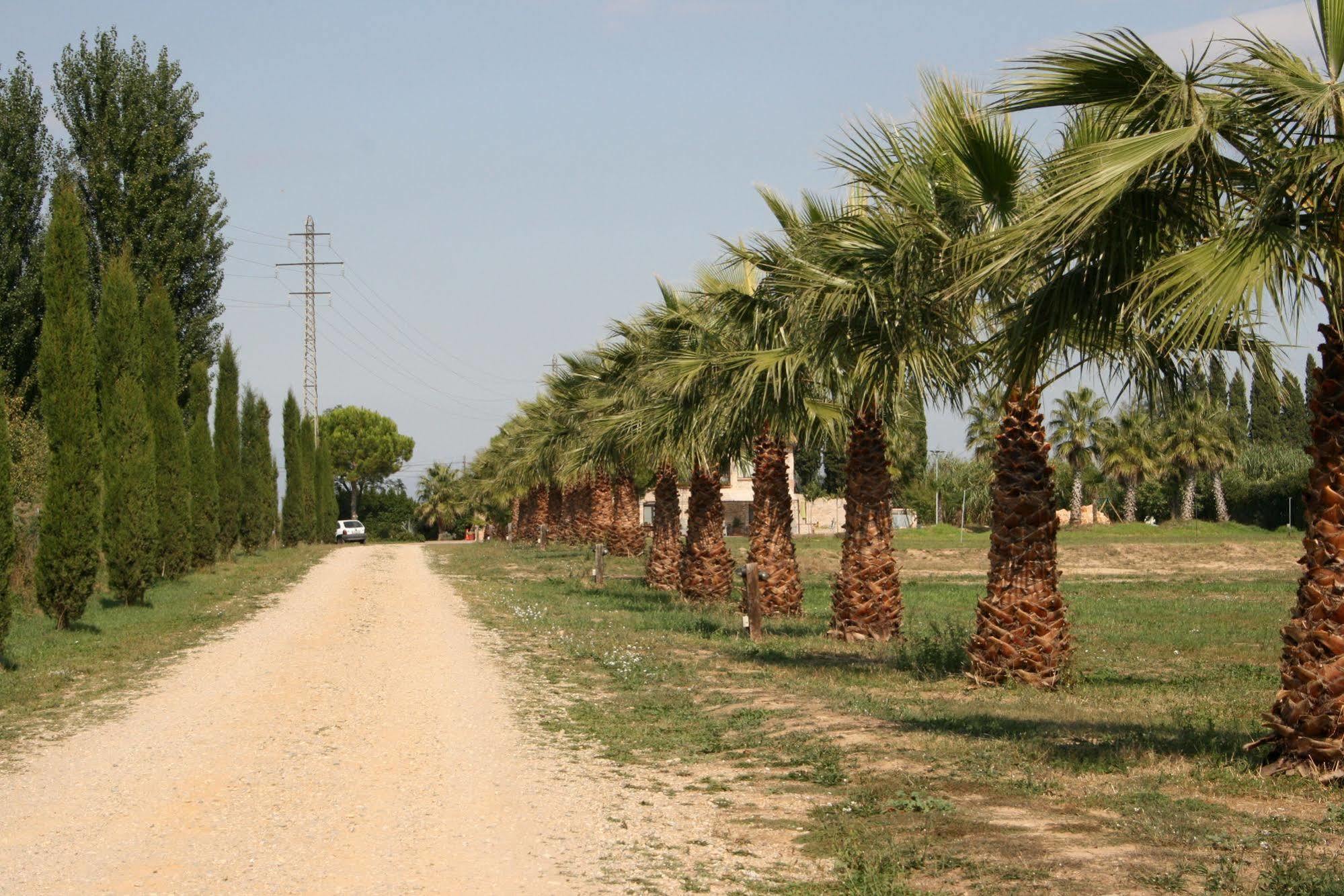 Pensjonat Mas Del Joncar Sant Pere Pescador Zewnętrze zdjęcie